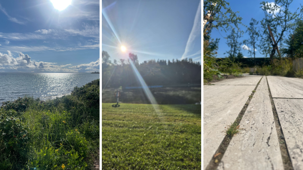 Fotogalerie mit 3 Bildern: Sonne über dem Meer, Sonne über dem Schiedateich, Steinplatten im Garten