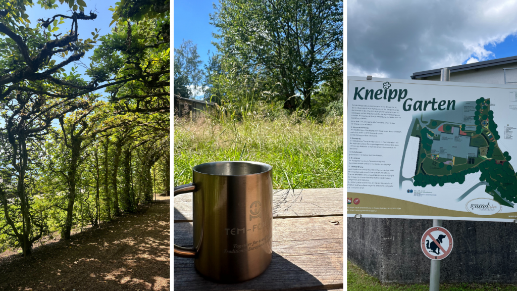 Bildergalerie mit drei Bildern: Schattiges Baumspalier, Tasse im Sonnenschein, Schild eines Kneipp-Gartens
