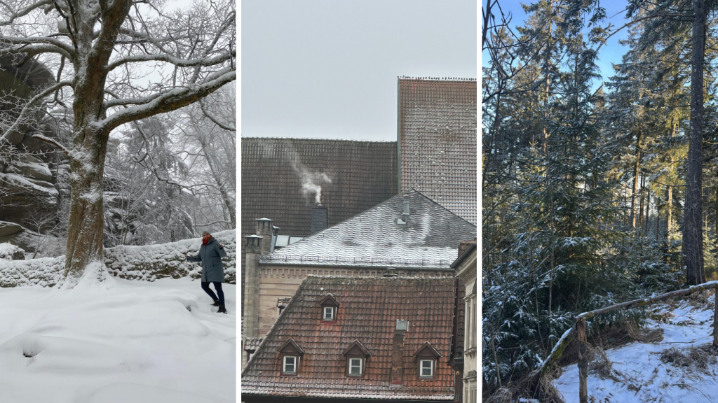 3 Fotos von Schneelandschaften: Veronika Taig vor einem großen Baum, Dächer, Blick in einen Wald