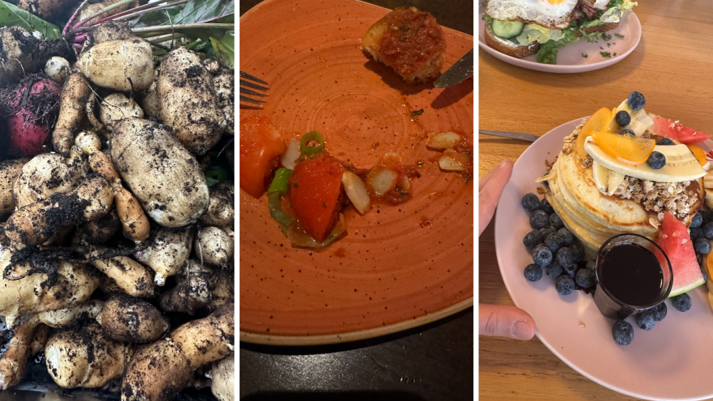 3 Fotos von Gemüse und Obst: Knollengemüse mit Erde, ein halb leerer Teller mit Tomaten und Knoblauch, ein großer Stapel Pancakes mit Obst