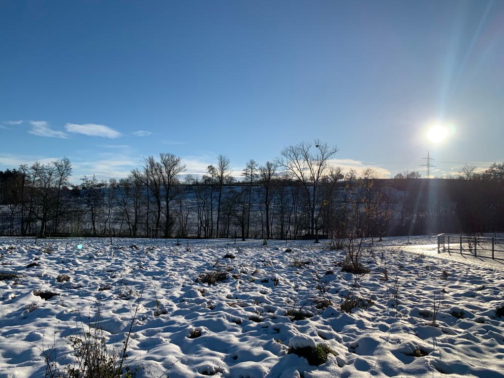 Foto einer Schnellandschaft mit Sonne und Bäumen